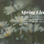 Read more about the article SPRING CLEANING